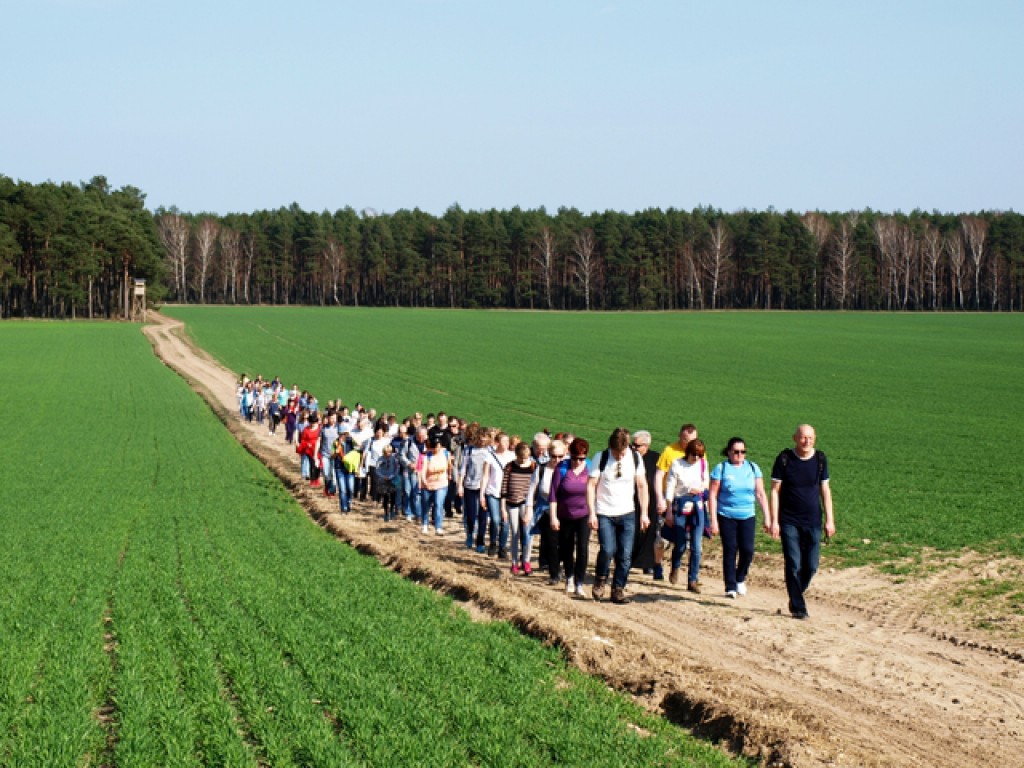 Terenowa Droga Krzyżowa