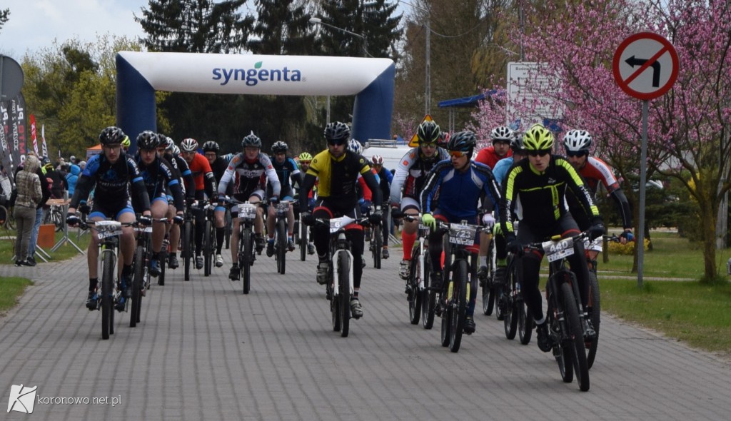 Start Syngenta Koronowo Challenge