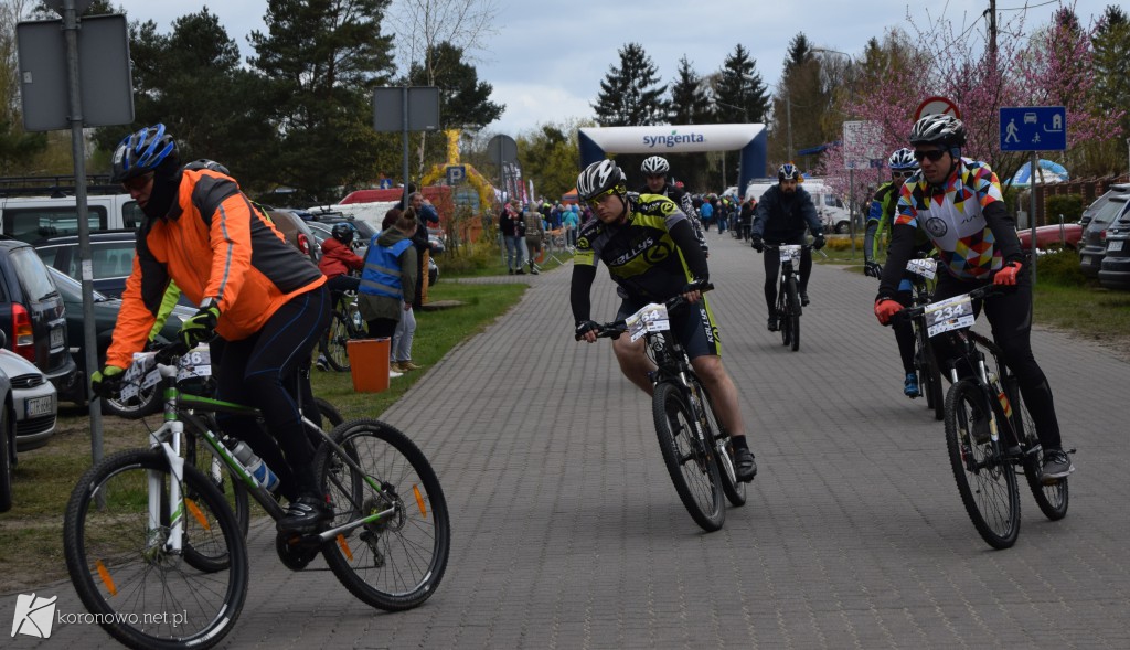 Start Syngenta Koronowo Challenge