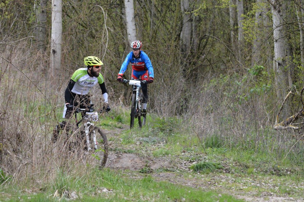 Syngenta Koronowo Challenge 2017