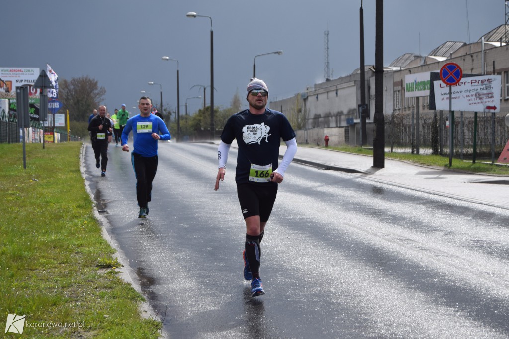 Dystans 10 km Biegu im. Braci Mikrutów