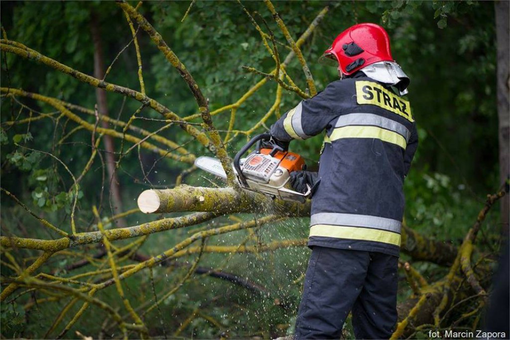 Wtorkowe interwencje strażaków