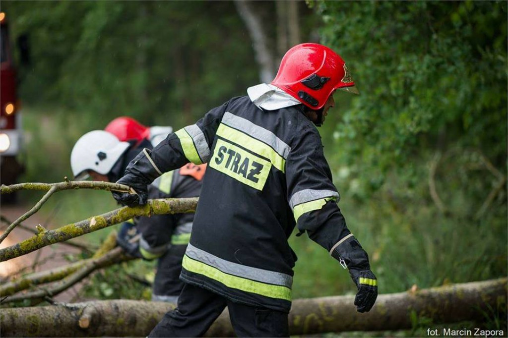 Wtorkowe interwencje strażaków