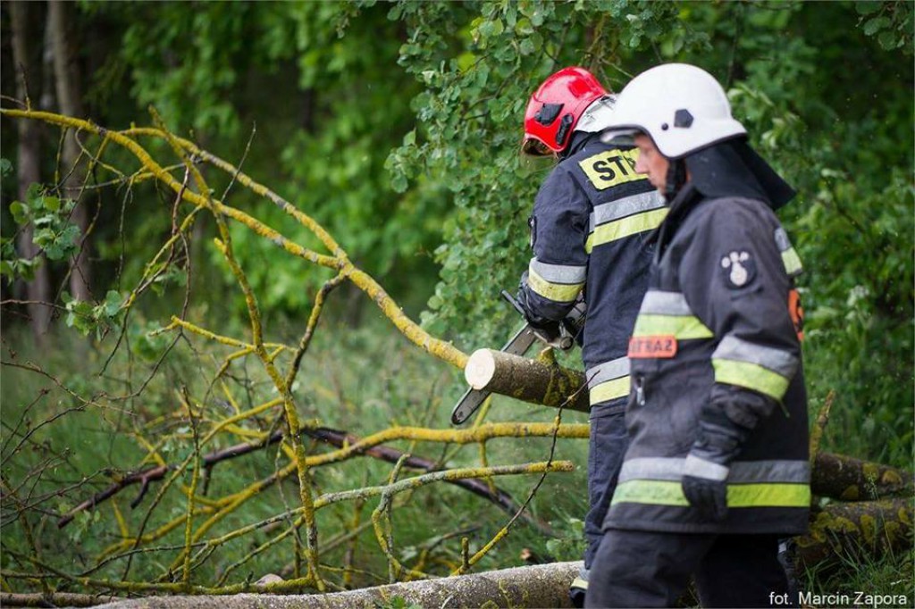Wtorkowe interwencje strażaków