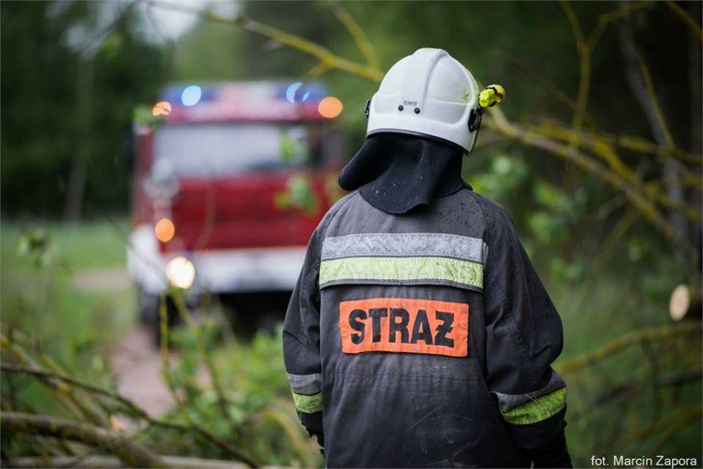 Wtorkowe interwencje strażaków