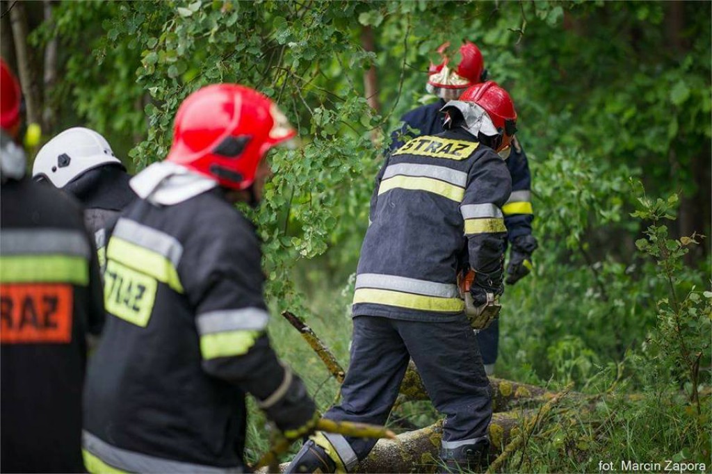 Wtorkowe interwencje strażaków