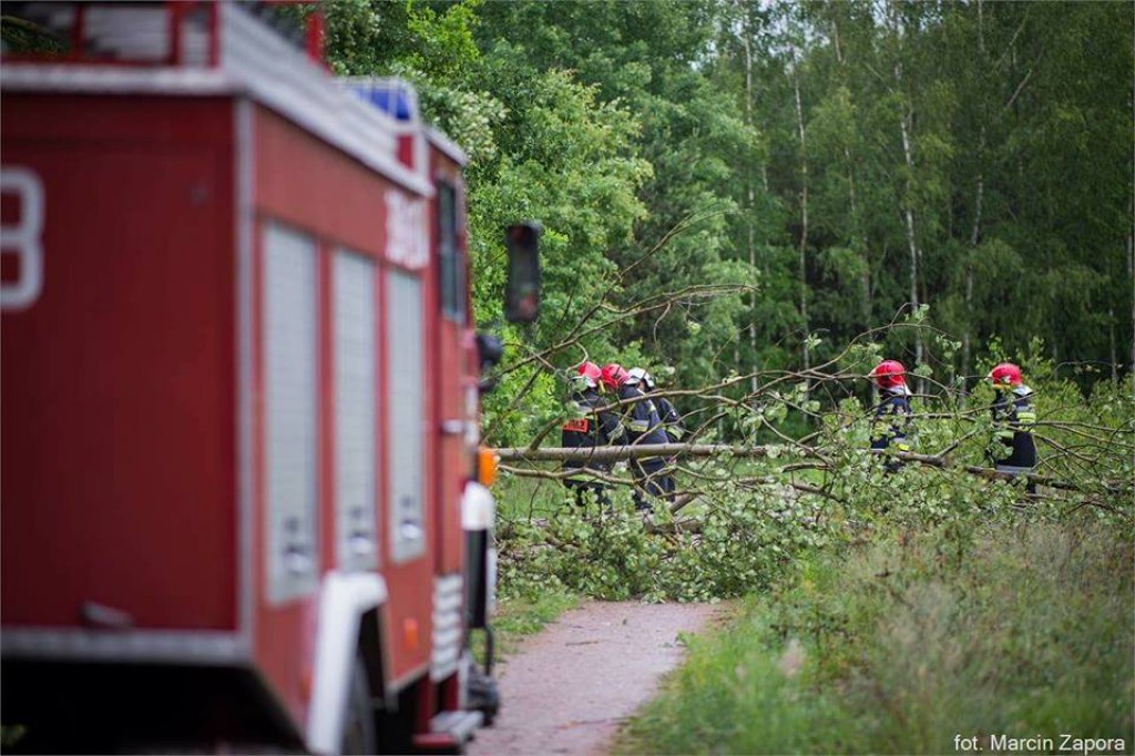 Wtorkowe interwencje strażaków