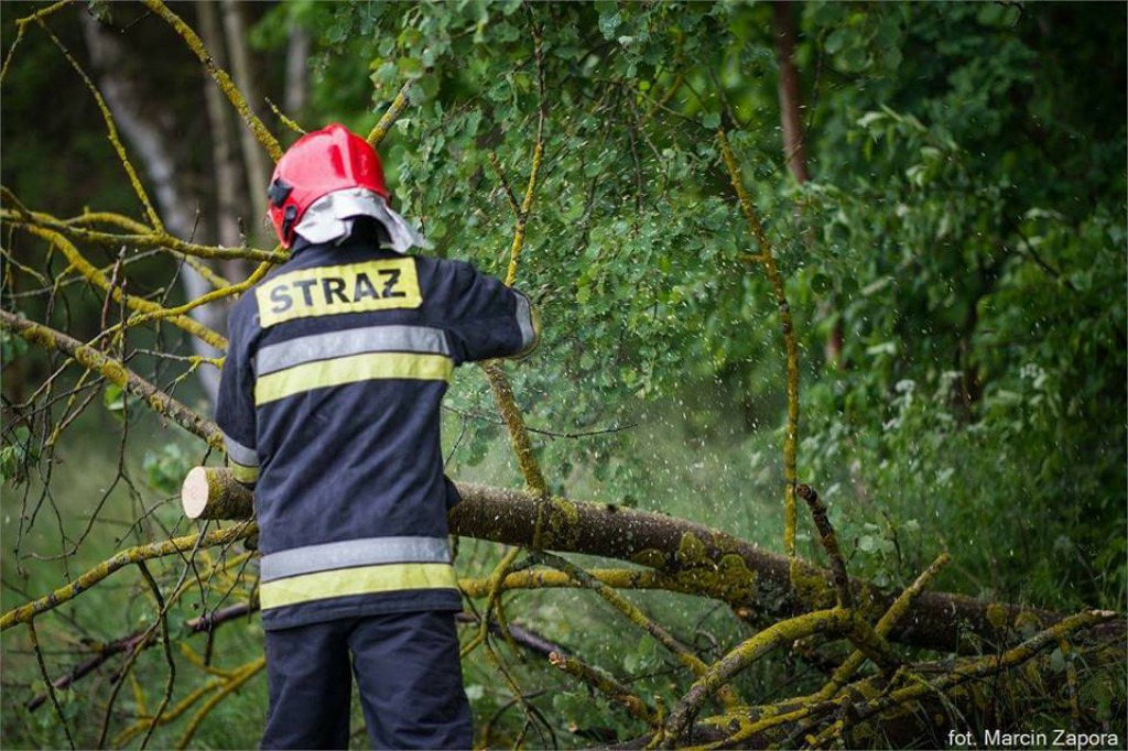 Wtorkowe interwencje strażaków