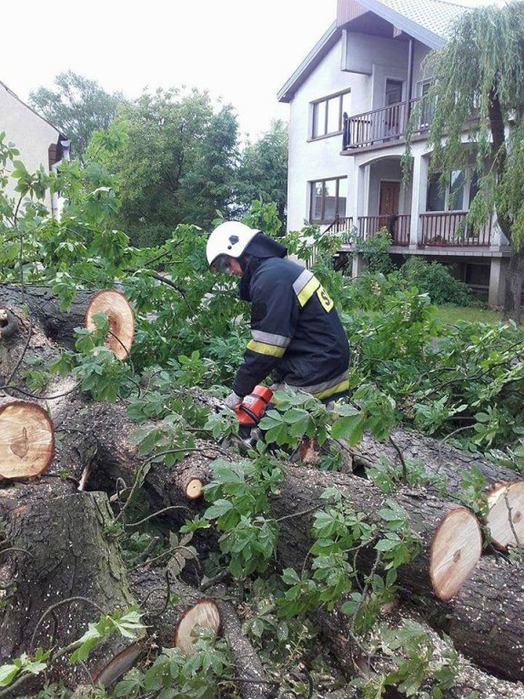 Wtorkowe interwencje strażaków
