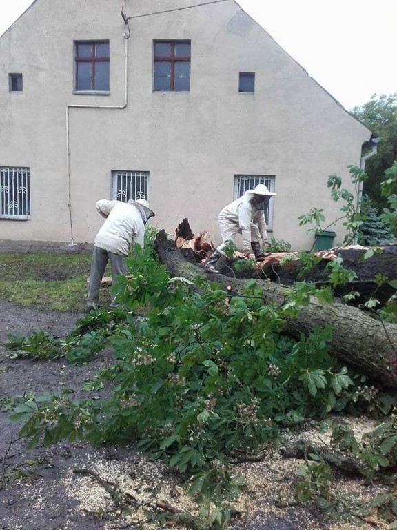 Wtorkowe interwencje strażaków