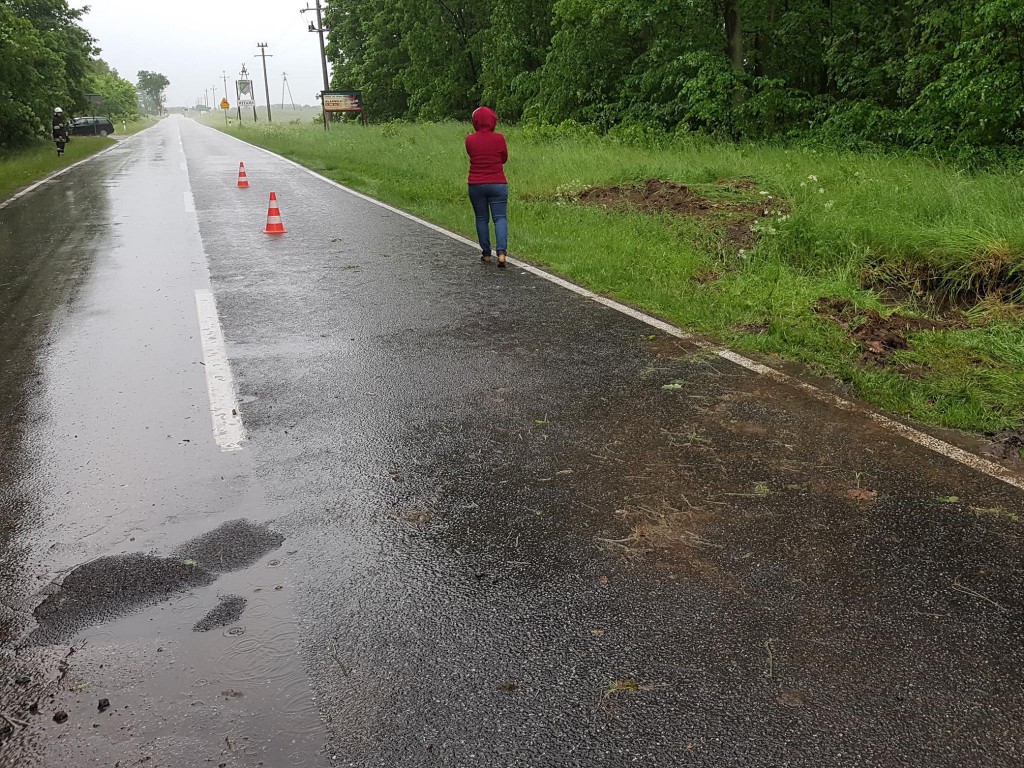 Wtorkowe interwencje strażaków