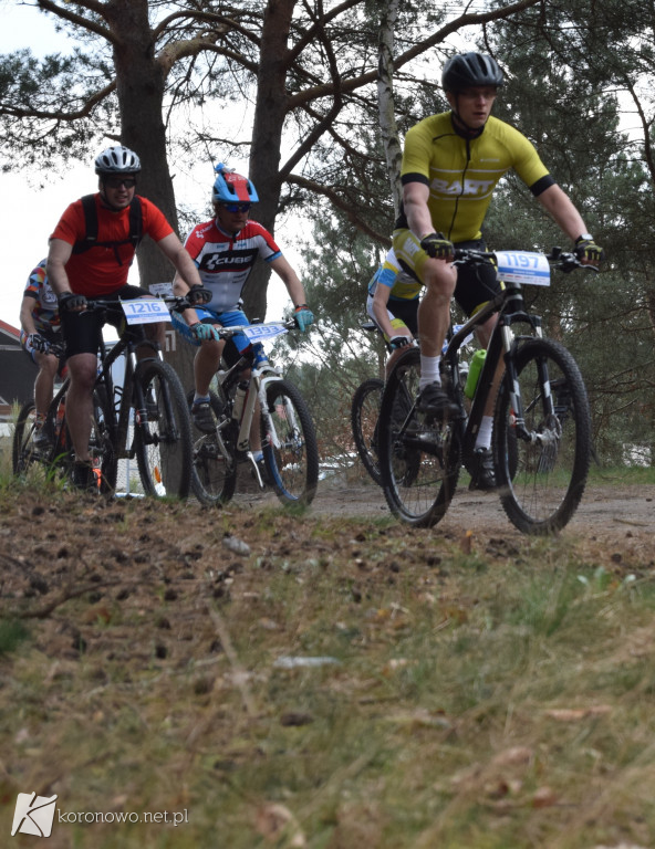 Syngenta Koronowo Challenge 2018