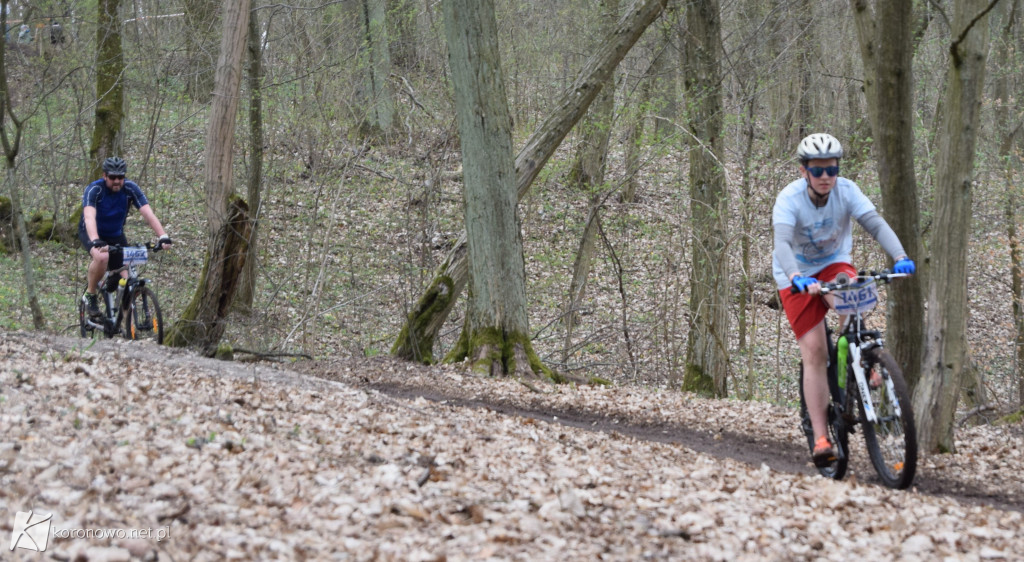Syngenta Koronowo Challenge 2018
