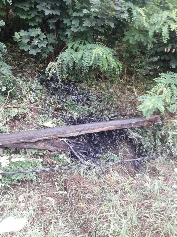 Kolizja drogowa w Buszkowie