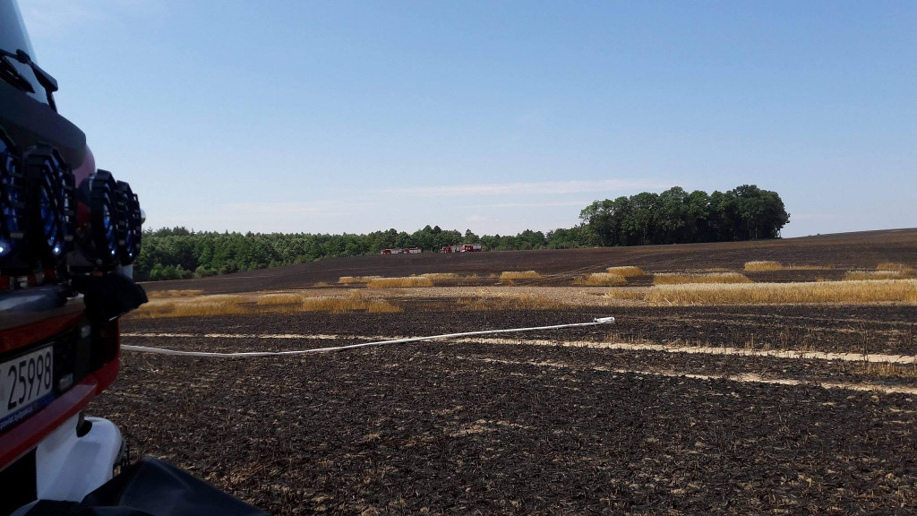 Pożar w Mąkowarsku-Motylu
