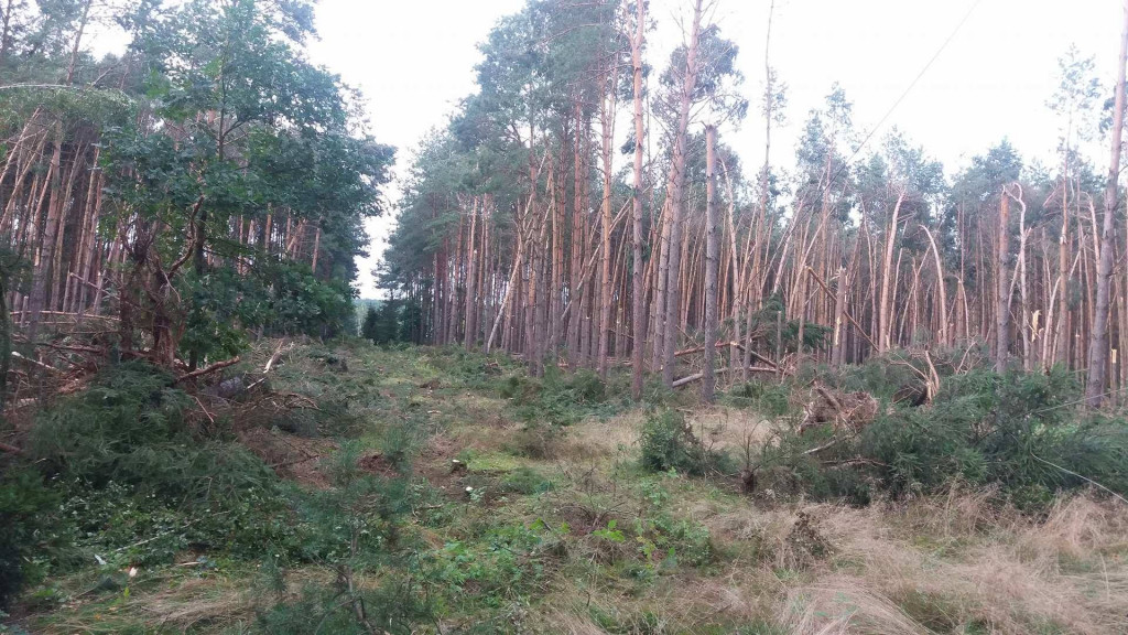 Nawałnica z 11 sierpnia 2017 roku