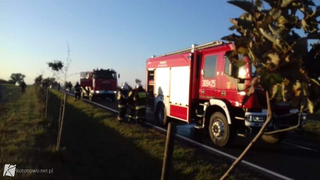 Pożar autobusu w Buszkowie