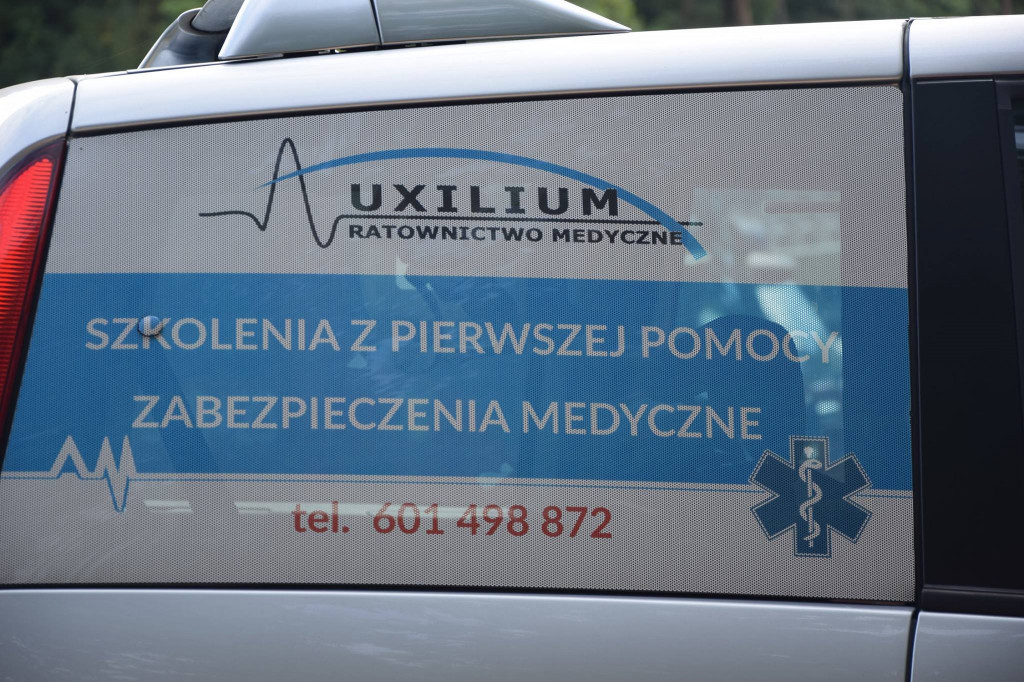 Ćwiczenia w Krówce Leśnej
