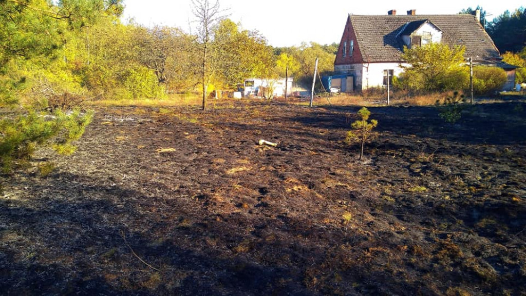 Pożar poszycia leśnego w Bożenkowie
