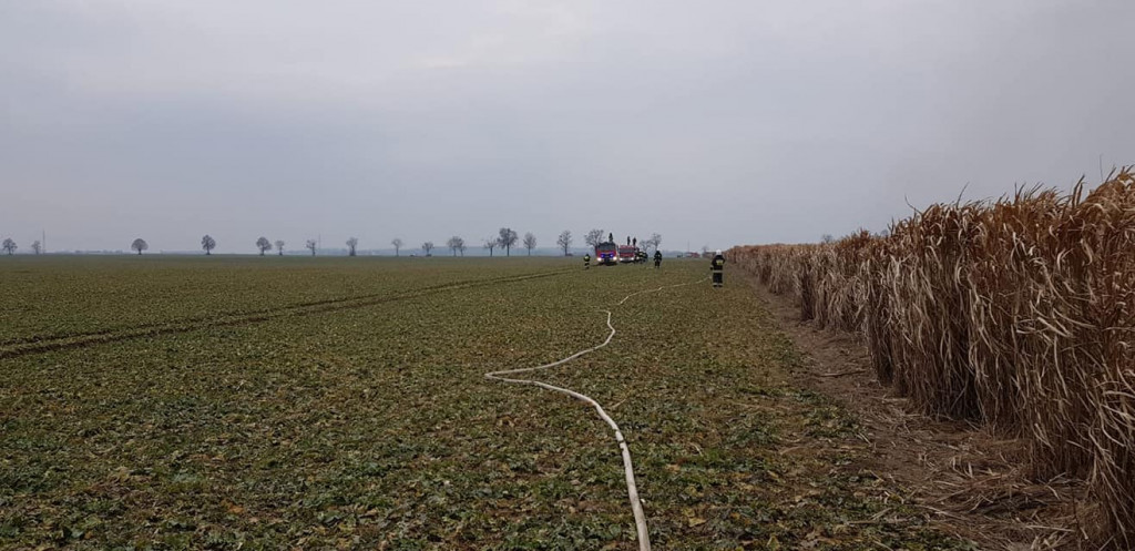 Pożar traw energetycznych