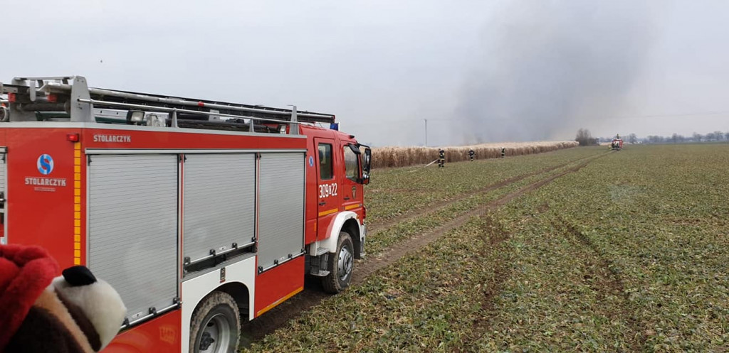 Pożar traw energetycznych