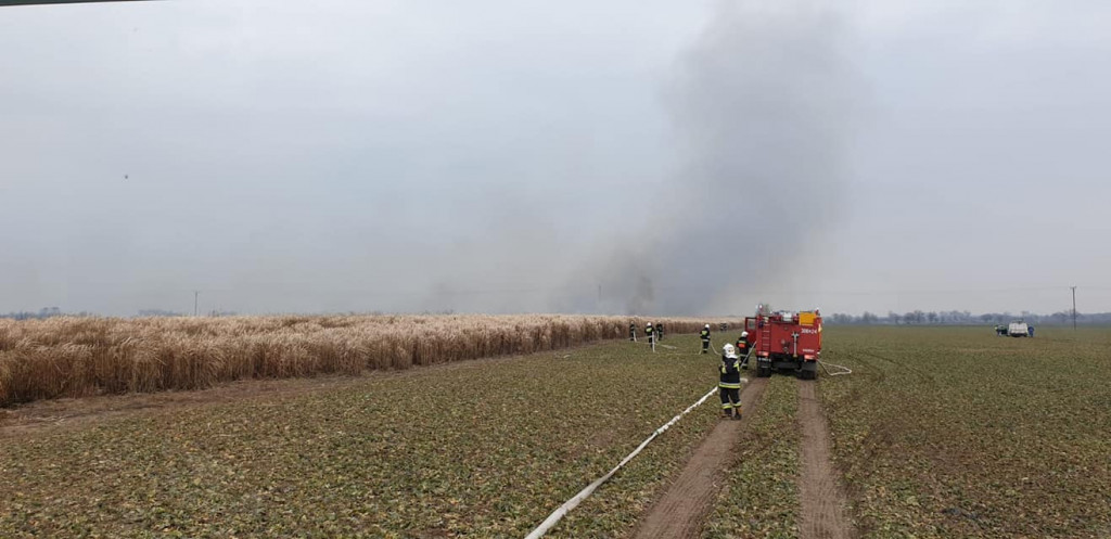 Pożar traw energetycznych