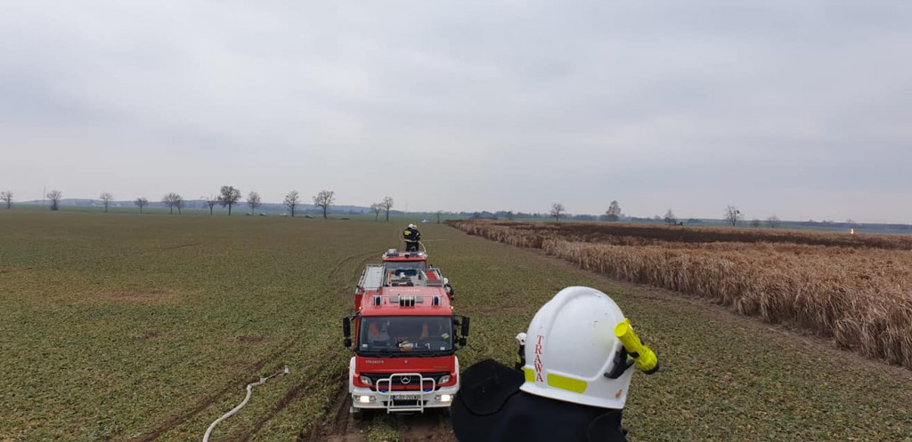 Pożar traw energetycznych