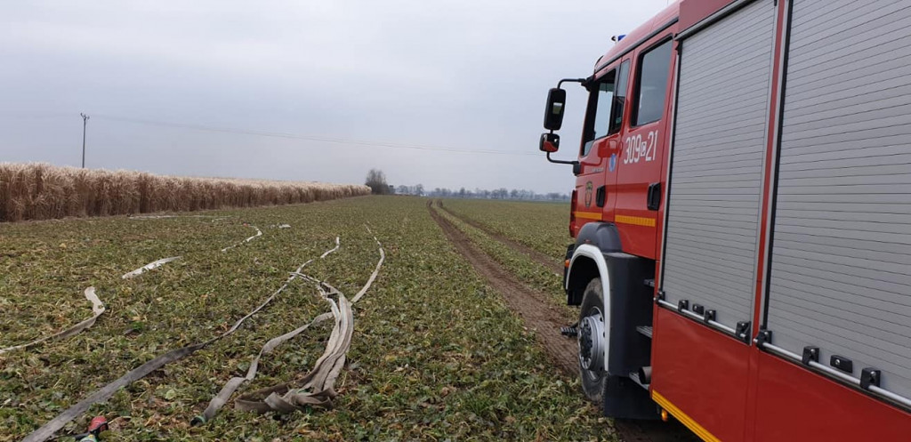 Pożar traw energetycznych
