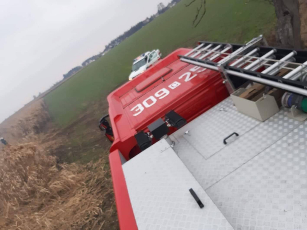 Pożar traw energetycznych