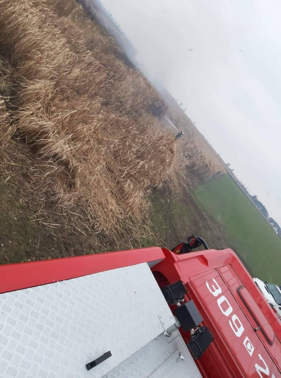 Pożar traw energetycznych