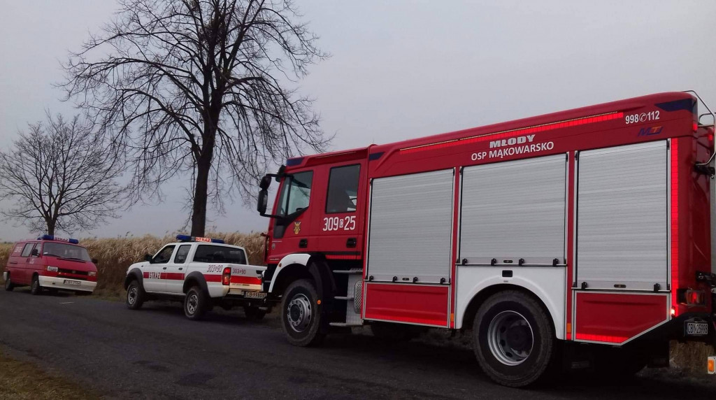 Pożar traw energetycznych