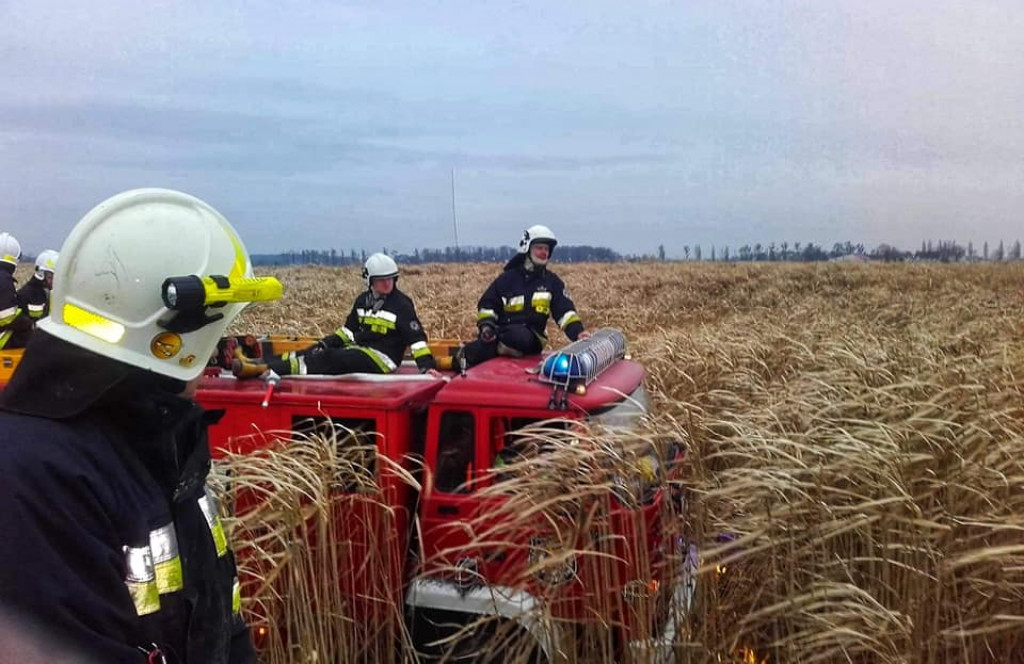 Pożar traw energetycznych