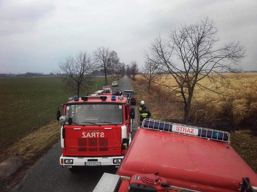 Pożar traw energetycznych