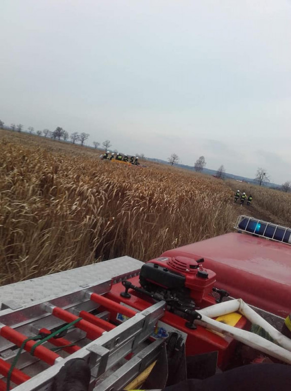 Pożar traw energetycznych