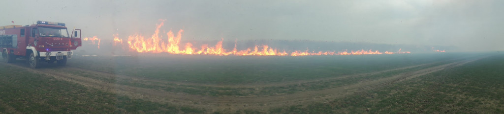 Pożar traw energetycznych