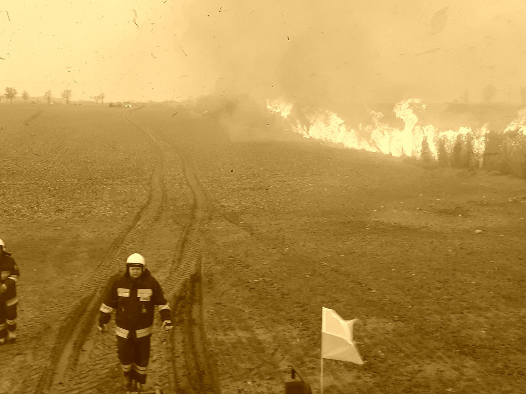 Pożar traw energetycznych
