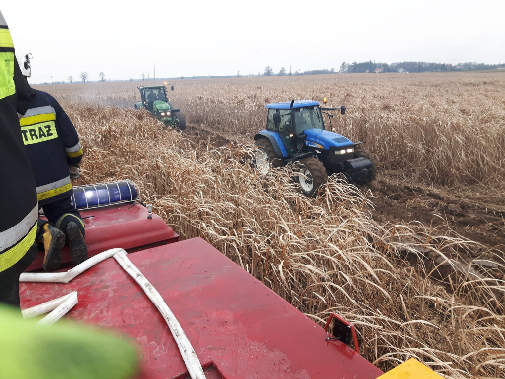 Pożar traw energetycznych
