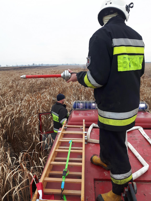 Pożar traw energetycznych