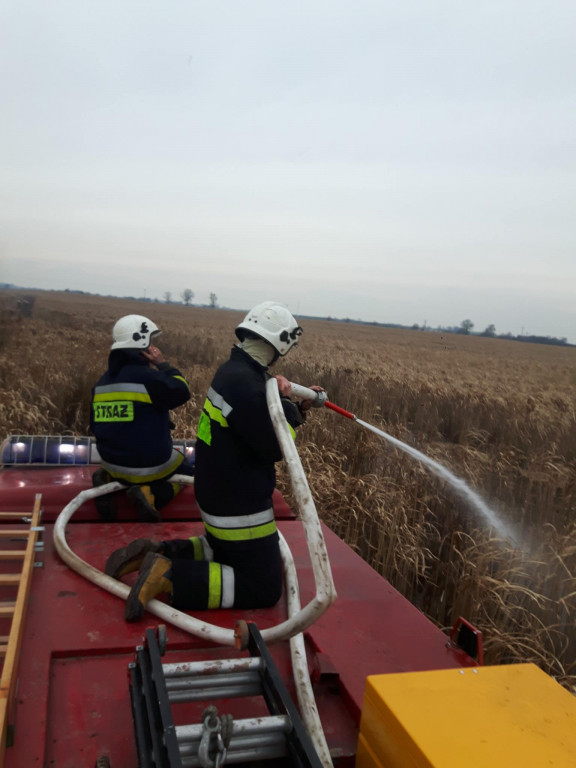 Pożar traw energetycznych