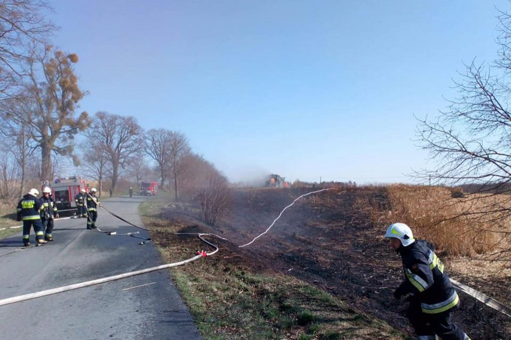 Kolejny pożar traw w Nowym Dworze