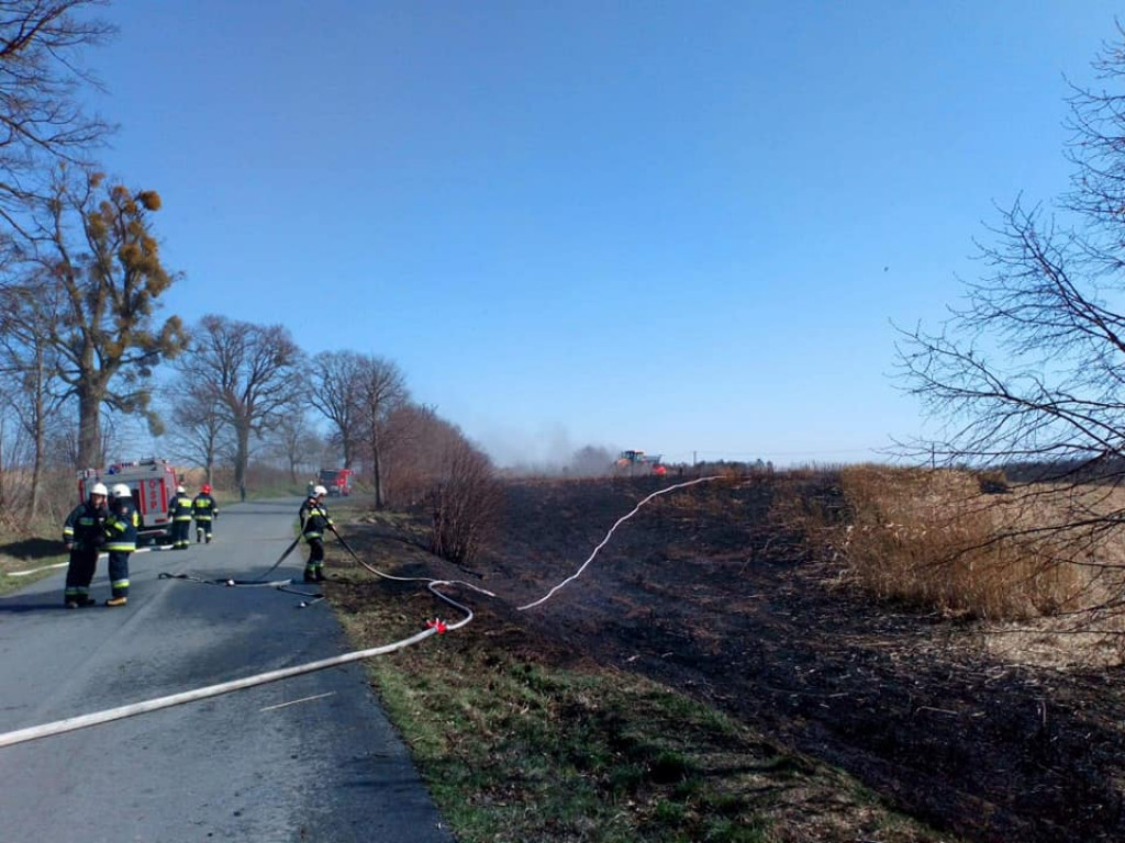 Kolejny pożar traw w Nowym Dworze
