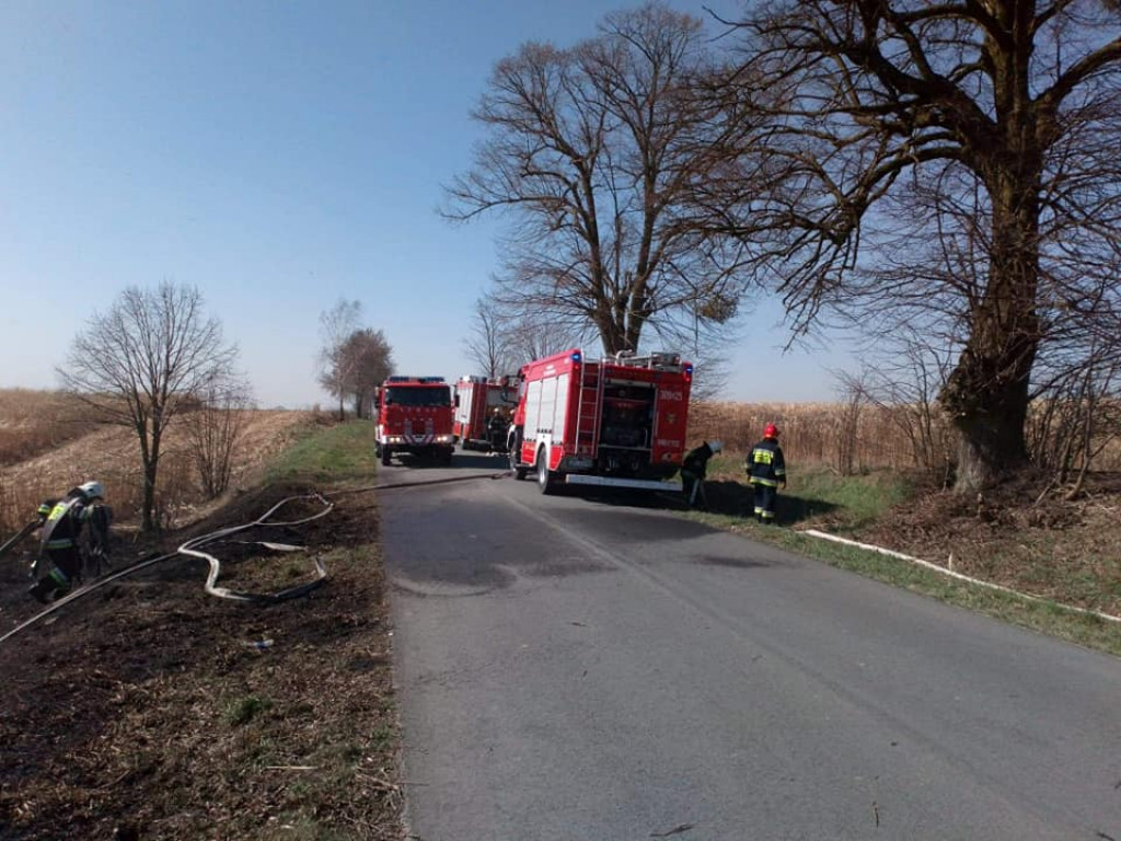 Kolejny pożar traw w Nowym Dworze