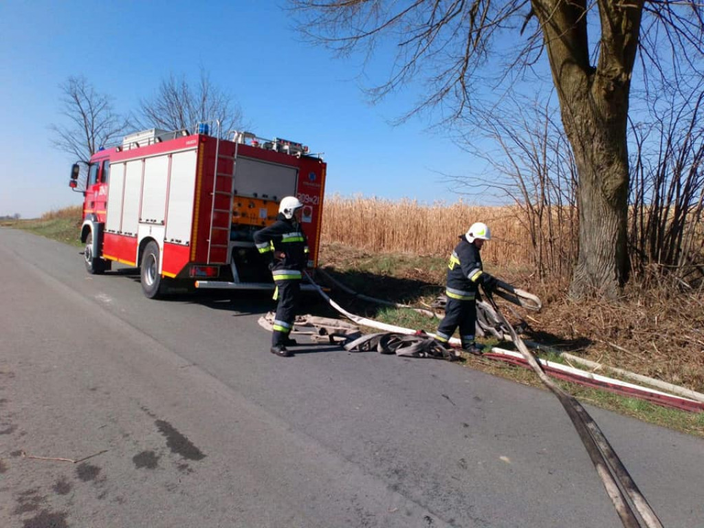 Kolejny pożar traw w Nowym Dworze