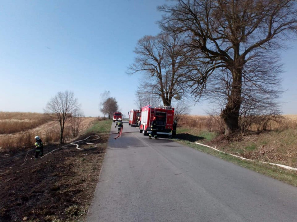 Kolejny pożar traw w Nowym Dworze