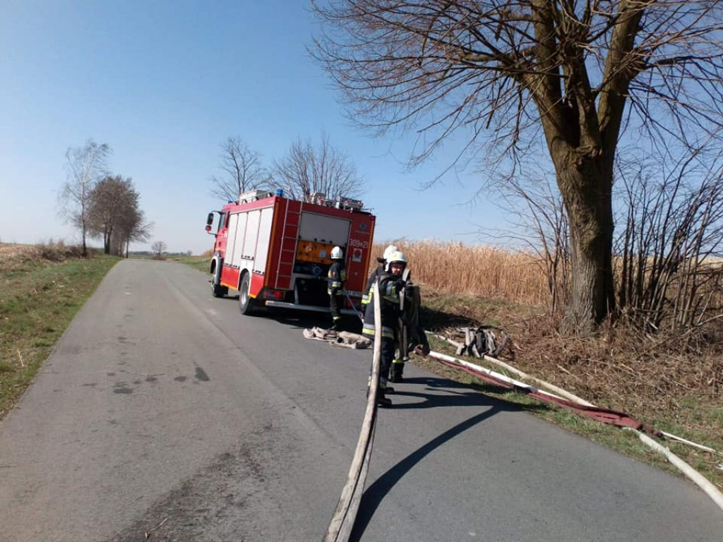 Kolejny pożar traw w Nowym Dworze