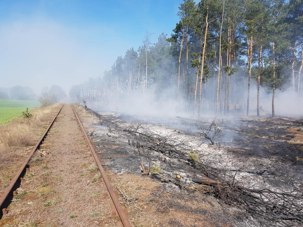 Seria pożarów - 16 kwietnia