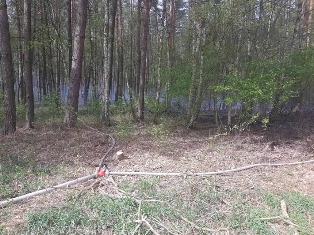 Pożary - 23 kwietnia