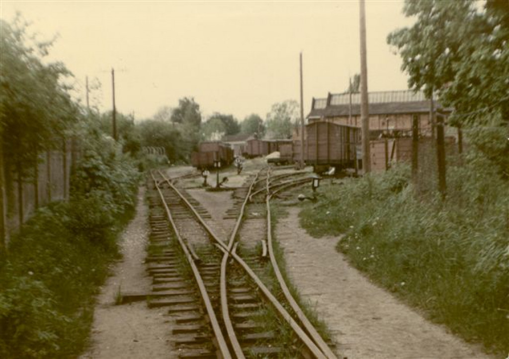 Kolej wąskotorowa do Koronowa