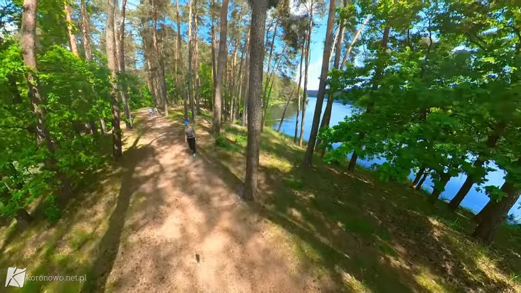 Piękno Lasów na Zalewem Koronowskim. Magiczny film eXbee [VIDEO, ZDJĘCIA]