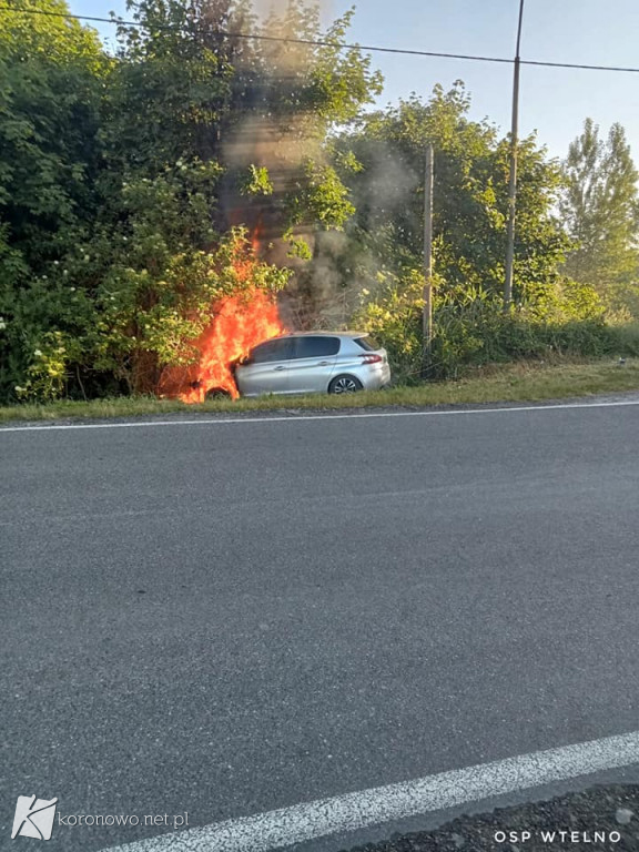 OSP Wtelno: Spłonął samochód na drodze do Gogolinka